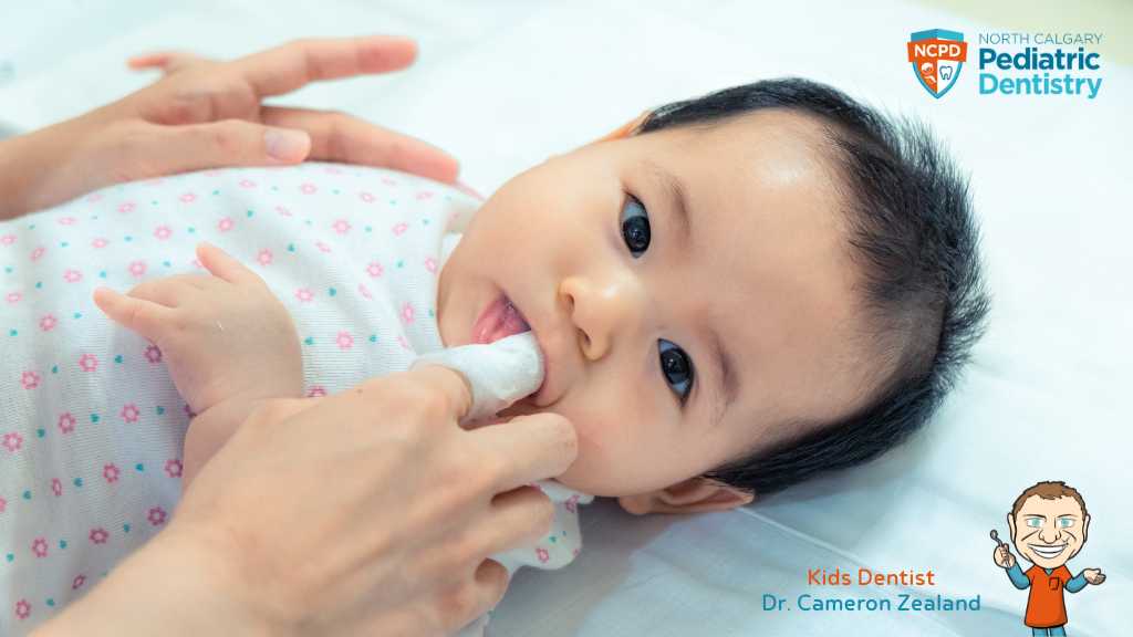 ne-nw-calgary-baby-dentist